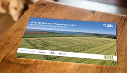 No change to SY Cheer's status on the AHDB Recommended Lists (RL) 